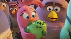 الطيور الغاضبة مدبلج للعربية Angry Birds 2016