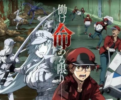 انمي Hataraku Saibou Black الحلقة 13 الاخيرة