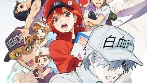 انمي Hataraku Saibou!! الحلقة 2 مترجم